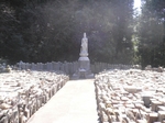 P1020150.jpg