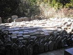P1020156.jpg