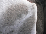 P1020183.jpg